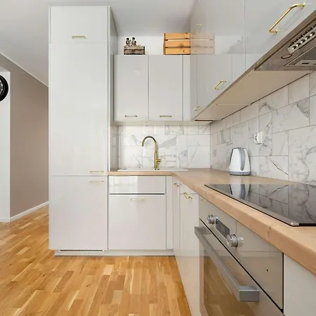 Spacious In With A Desk For Remote Work And A Balcony By Renters Apartment Breslau